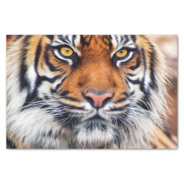 Male Siberian Tiger Paint Photograph Tissue Paper