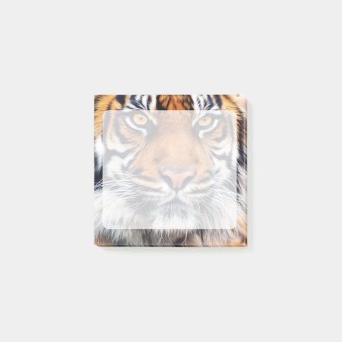 Male Siberian Tiger Photograph Post_it Notes