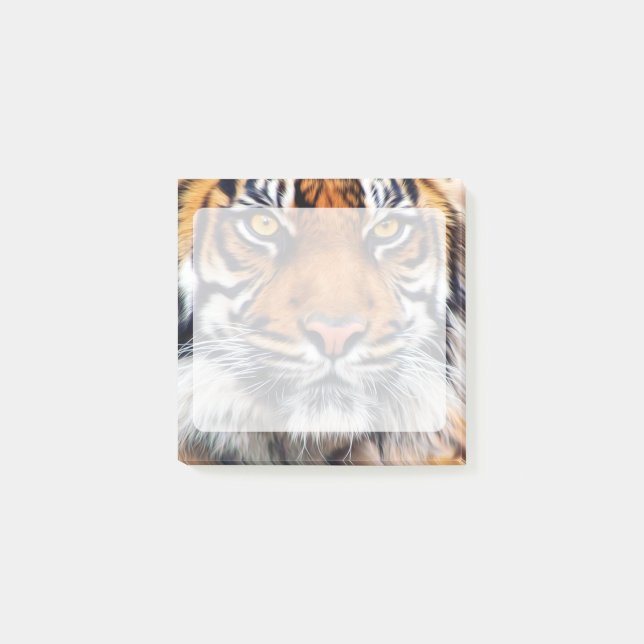 Male Siberian Tiger Photograph Post-it Notes (Front)