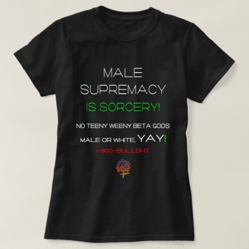 MALE SUPREMACY IS SORCERY FUNNY CHRISTIAN DATING T_Shirt
