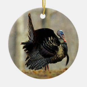 Male turkey strutting, Illinois Ceramic Ornament