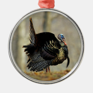 Male turkey strutting, Illinois Metal Ornament