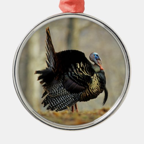 Male turkey strutting Illinois Metal Ornament