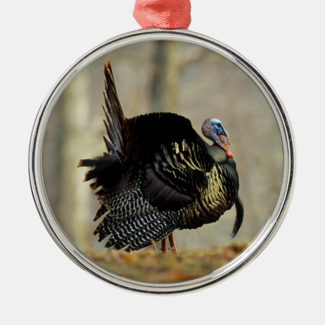 Male turkey strutting, Illinois Metal Ornament (Front)