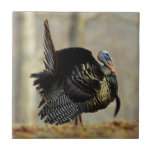 Male Turkey Strutting, Illinois Tile at Zazzle