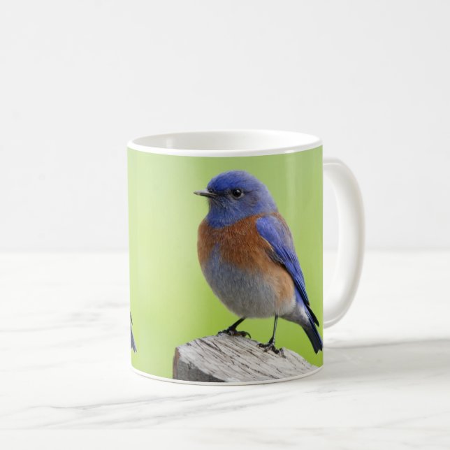 Male Western Bluebird Mug (Front Right)