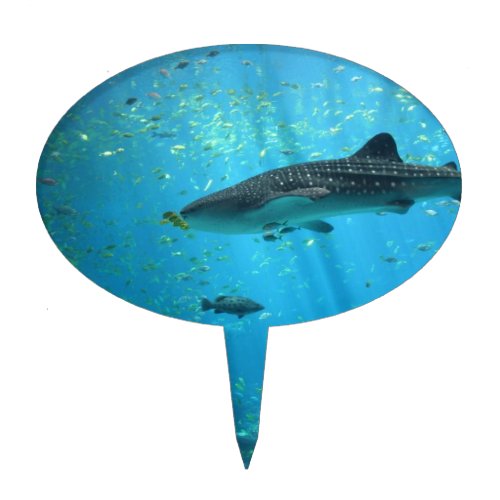 Male Whale Shark Cake Topper