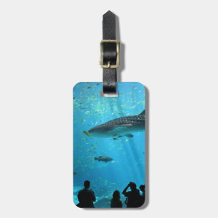 Male Whale Shark Luggage Tag