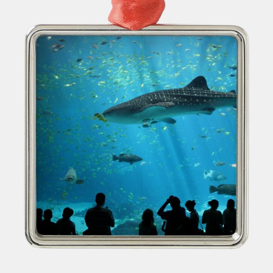 Male Whale Shark Metal Ornament