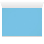 Male Whiteface Cockatiel (Inside Horizontal (Bottom))