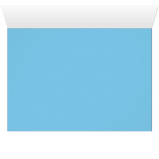 Male Whiteface Cockatiel (Inside Horizontal (Bottom))