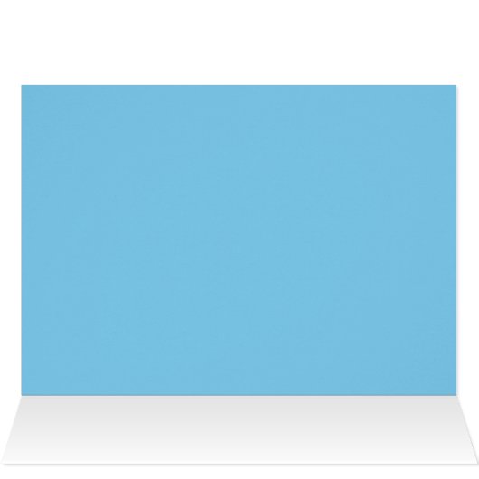 Male Whiteface Cockatiel (Inside Horizontal (Top))