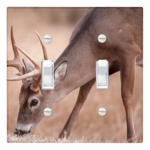 Male whitetail deer grazing light switch cover