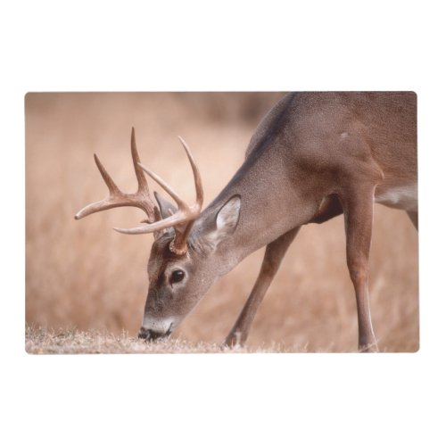 Male whitetail deer grazing placemat