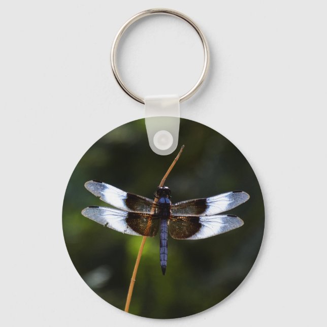 Male Widow Skimmer Dragonfly  Keychain (Front)