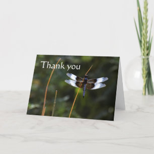 Male Widow Skimmer dragonfly on a stick, thank yo Letterpress Thank You Card