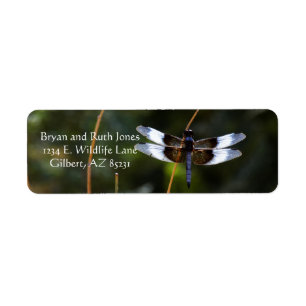 Male Widow Skimmer Label