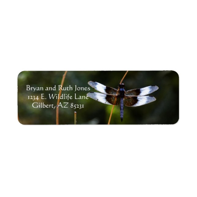 Male Widow Skimmer Label (Front)