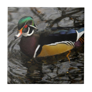 Male Wood Duck At Crystal Springs Rhododendron Ceramic Tile