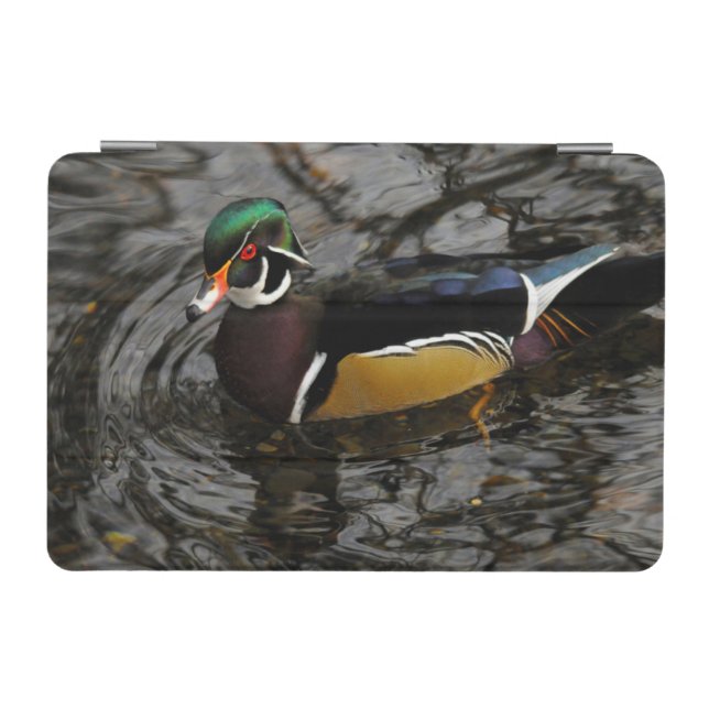 Male Wood Duck At Crystal Springs Rhododendron iPad Mini Cover (Horizontal)