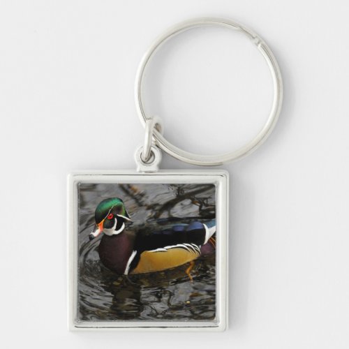 Male Wood Duck At Crystal Springs Rhododendron Keychain