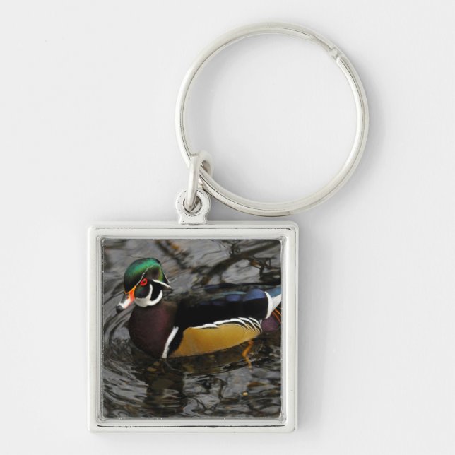 Male Wood Duck At Crystal Springs Rhododendron Keychain (Front)