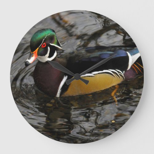 Male Wood Duck At Crystal Springs Rhododendron Large Clock