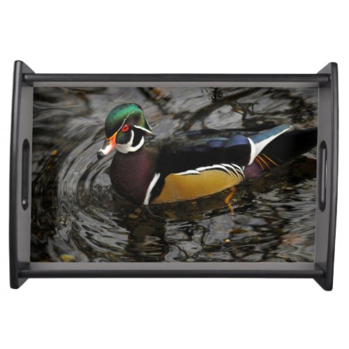 Male Wood Duck At Crystal Springs Rhododendron Serving Tray