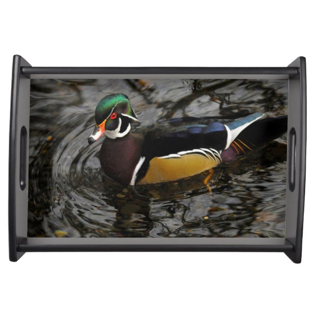 Male Wood Duck At Crystal Springs Rhododendron Serving Tray (Front)