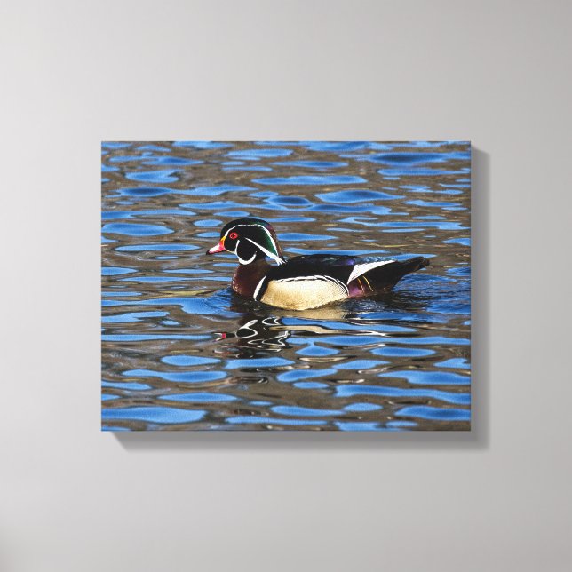 Male Wood Duck Canvas Print (Front)