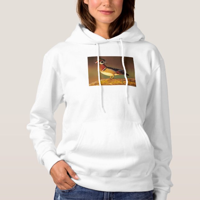 Male wood duck, Illinois Hoodie (Front)