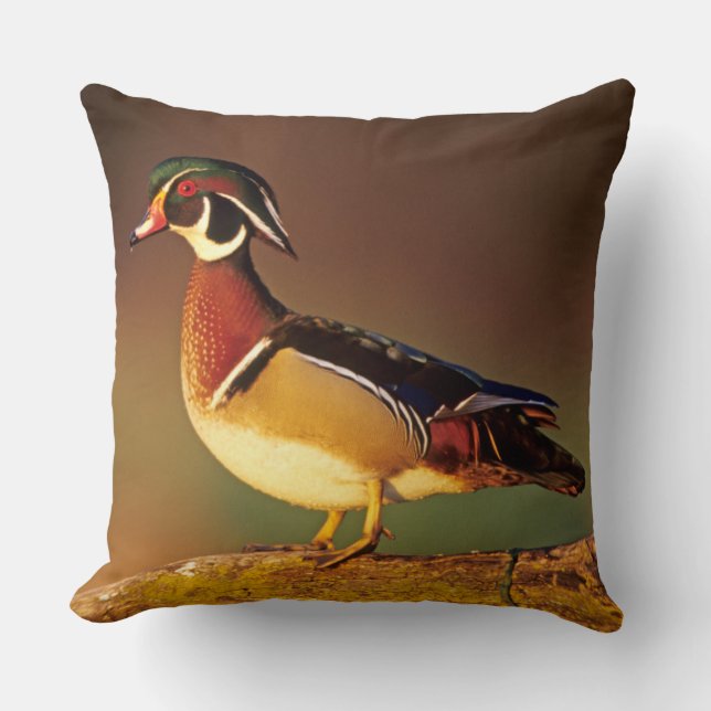 Male wood duck, Illinois Throw Pillow (Front)