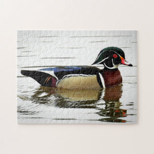Male Wood Duck in Colorful Plumage Jigsaw Puzzle