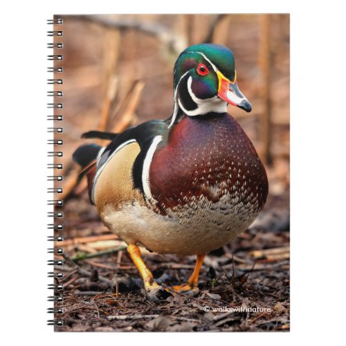 Male Wood Duck in the Woods Notebook