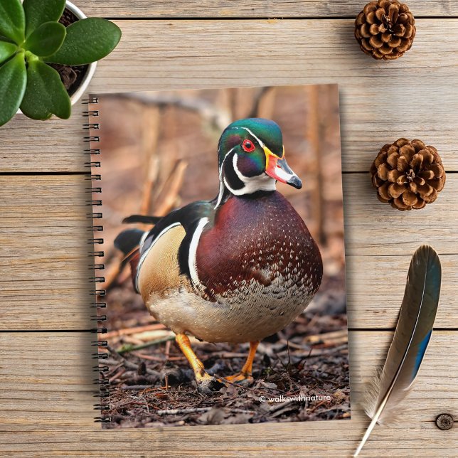 Male Wood Duck in the Woods Notebook (Wood Duck in the Woods Journal Cover Photo)