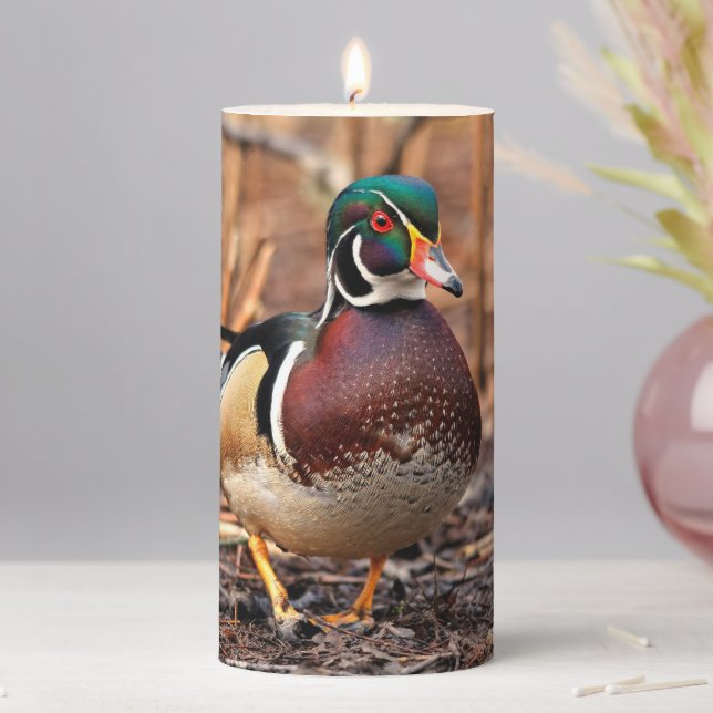 Male Wood Duck in the Woods Pillar Candle (In Situ)