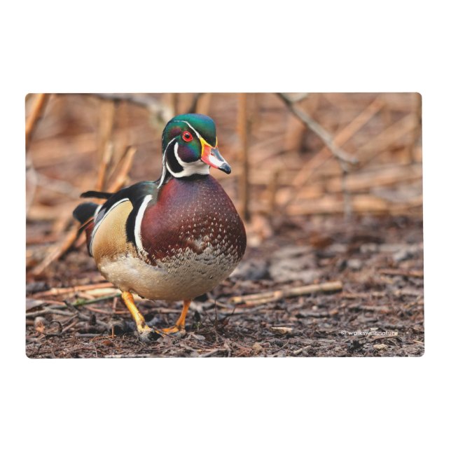 Male Wood Duck in the Woods Placemat (Front)