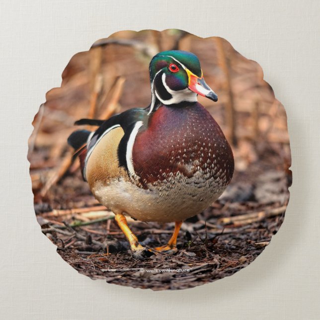 Male Wood Duck in the Woods Round Pillow (Front)
