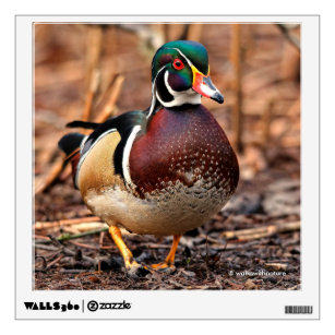 Male Wood Duck in the Woods Wall Decal