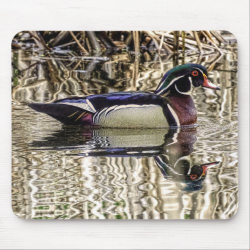 Male wood duck swimming in pond mouse pad