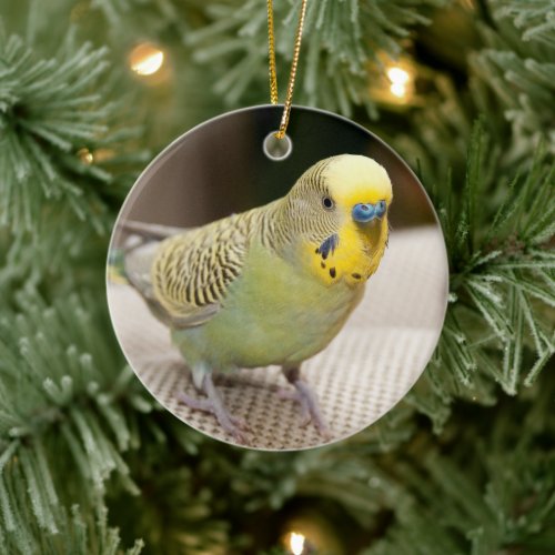 Male Yellow and Green Parakeet Ceramic Ornament