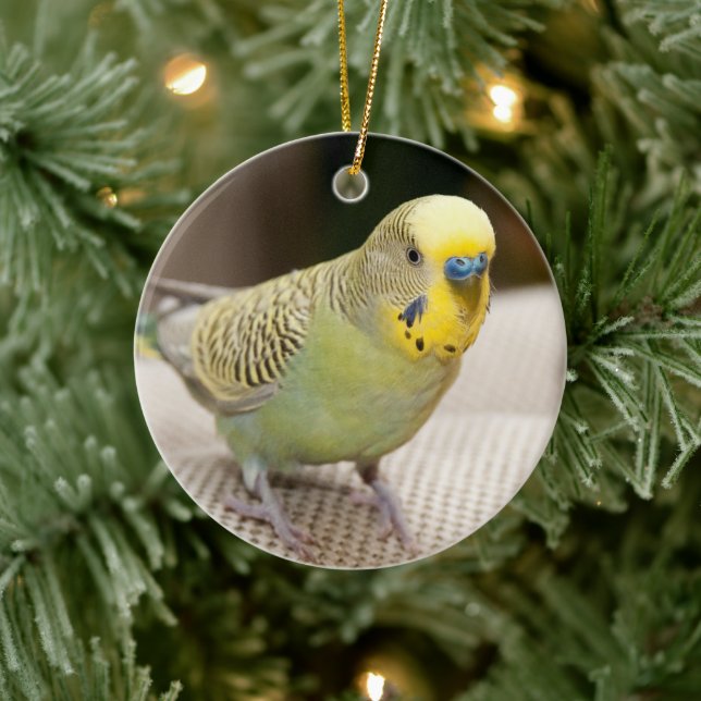 Male Yellow and Green Parakeet Ceramic Ornament (Tree)
