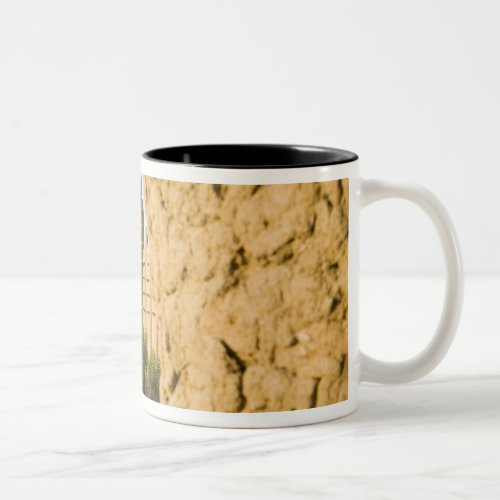 Mali Djenne Grand Mosque 2 Two_Tone Coffee Mug