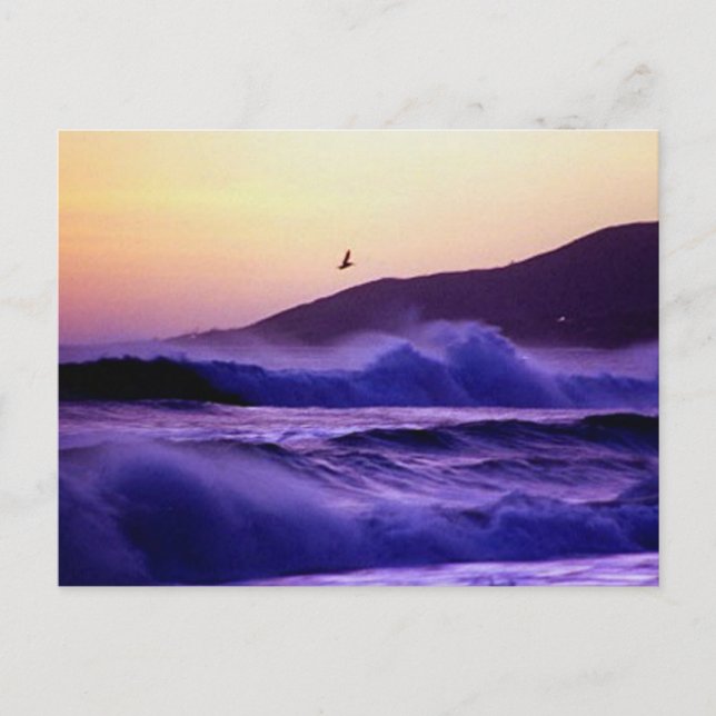 Malibu Beach Postcard (Front)