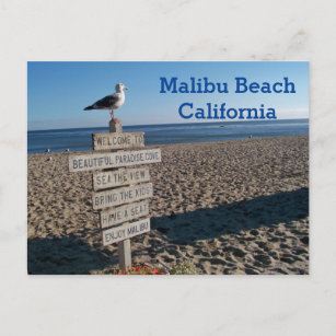 Malibu Beach Postcard- Paradise Cove Seagull Sign Postcard