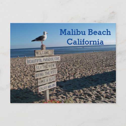 Malibu Beach Postcard_ Paradise Cove Seagull Sign Postcard