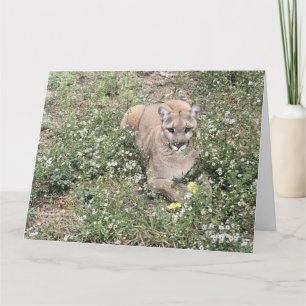 Malice Being Beautiful Card