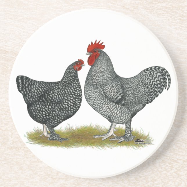 Maline Chickens Coaster (Front)
