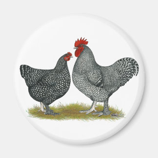 Maline Chickens Magnet