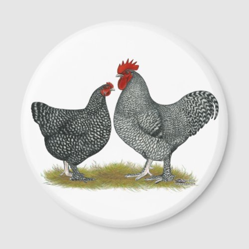 Maline Chickens Magnet